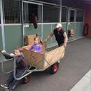 John working hard with the grandkids in for a ride...